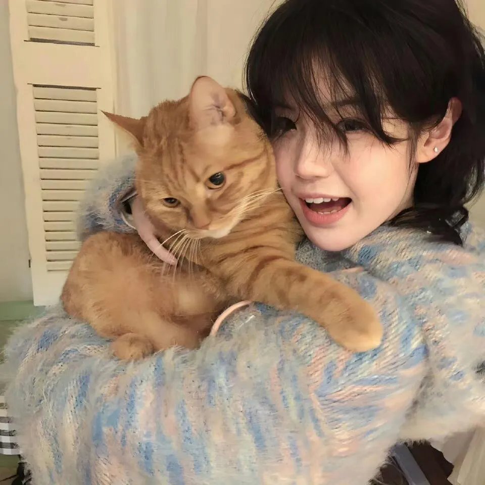 间谍过家家第一季